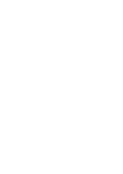 security-icon